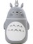Kore Benzersiz Yaratıcı Karikatür Totoro Cam Erkek ve Kızlar Sevimli Fincan Taşınabilir Kullanışlı Fincan (Yurt Dışından) 1