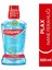 Plax Nane Ferahlığı Plağa Karşı Ağız Bakım Suyu 500 ml 2