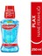 Plax Nane Ferahlığı Plağa Karşı Ağız Bakım Suyu 250 Ml 2