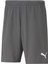 Teamrise Short Erkek Şortu 70494213 Gri 1