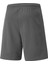 Teamrise Short Erkek Şortu 70494213 Gri 2