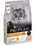 Pro Plan Derma Plus (Elegant Adult) Tüy Yumaği Kontrolü Somonlu Kedi Mamasi 1,5 kg 1