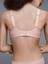 Sheer Touch Soft Cup Bra 2