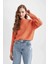 Coool Regular Fit Bisiklet Yaka Kazak L2567AZ22AU 4