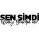 Seçili Renk Siyah