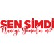  Renk Kırmızı