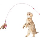 Kitchen Live Kedi Oyun Oltası 90 cm Renkli Tüylü Kedi Oyuncağı