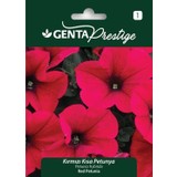 Genta Prestige Kırmızı Kısa Petunya, Petunia, Umut Çiçeği