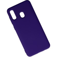 Happycase Samsung Galaxy A20 Kılıf Nano Içi Kadife  Silikon - Mor