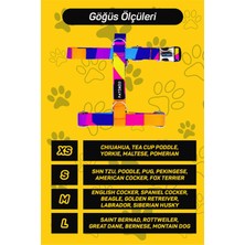 Patimio Spring Köpek Göğüs Tasması