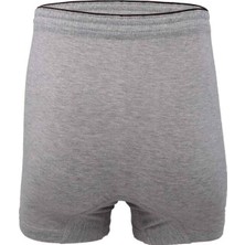 Anıt Boxer 1146 | Gri