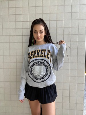 Afro Giyim Gri Uzun Kol Sweatshirt Berkeley