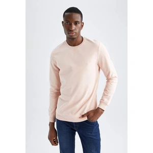 Regular Fit Sweatshirt Y2492AZ22SP
