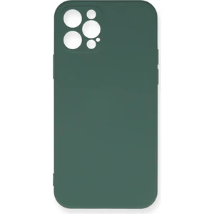 Happycase iPhone 12 Pro Max Kılıf Nano Içi Kadife  Silikon - Koyu Yeşil