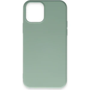 Happycase iPhone 12 Kılıf Nano Içi Kadife  Silikon - Su Yeşili