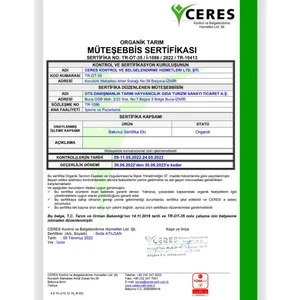 OTS Organik İç Ceviz 200 g.