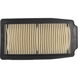 MotoMaster Suzuki DL 250 V-STROM Hava Filtresi (2017-2021)