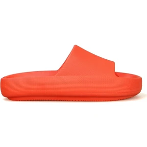 Hammer Jack Beny Z Terlik