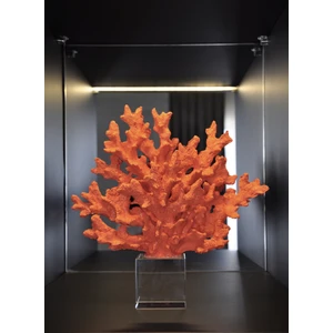 Dekoratif Kristalli Turuncu Mercan Aksesuar