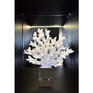 Dekoratif Kristal Beyaz Mercan Aksesuar