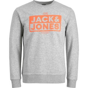 Jack & Jones Yazılı Erkek Bisiklet Yaka Sweatshirt 12219815