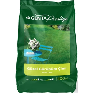 Prestige Güzel Görünüm Çimi 10 kg