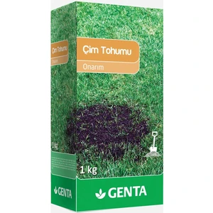 Onarım Çim Tohumu 1 kg