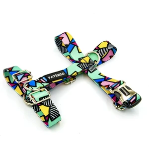 Colourful Köpek Göğüs Tasması