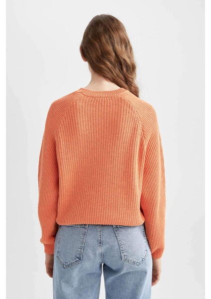 Coool Regular Fit Bisiklet Yaka Kazak L2567AZ22AU indirimleri