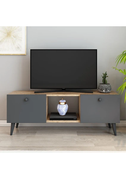 İzco Design Lotus Tv Ünitesi 120 cm 2 Kapaklı Tv Sehpası Çam Renk