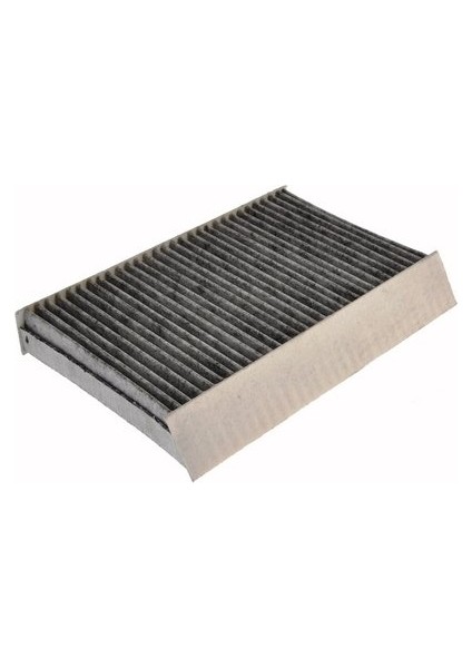 Polen Filtresi Mgn Iıı 1.4-1.6-2.0 16V Dci 08=&gt; (Karbonlu)