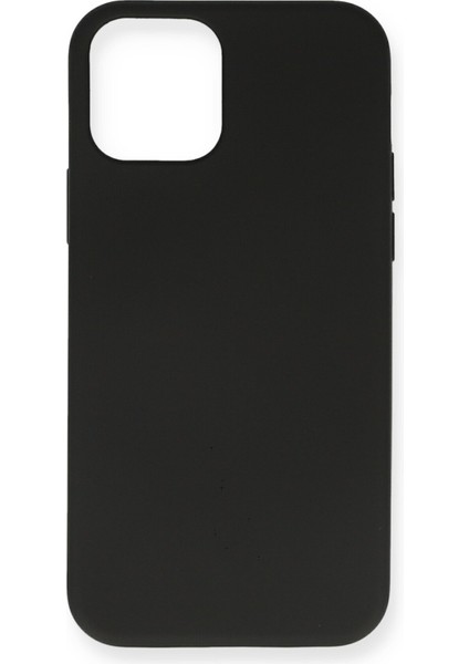 iPhone 12 Mini Kılıf Nano Içi Kadife Silikon - Siyah