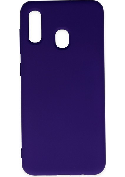 Samsung Galaxy A30 Kılıf Nano Içi Kadife Silikon - Mor