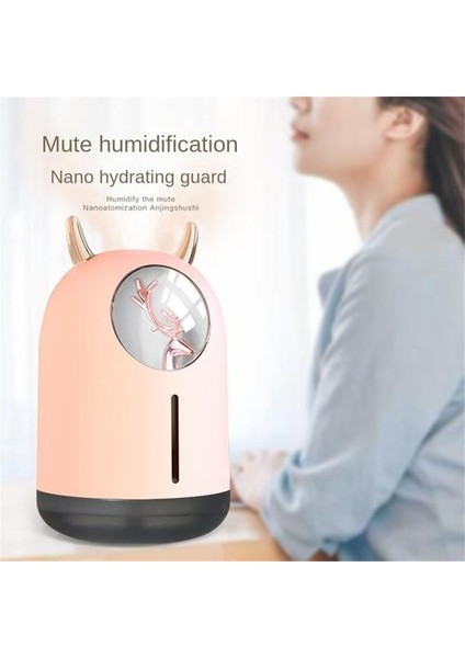 Hava Nemlendirici (Yurt Dışından)