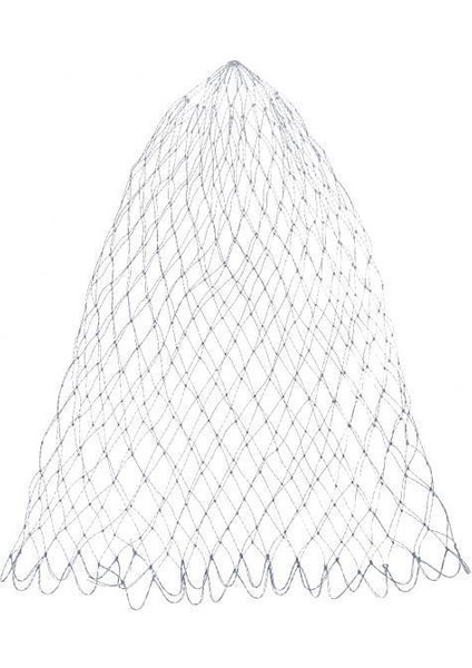 Balıkçılık Net 2 Pcs(Yurt Dışından)