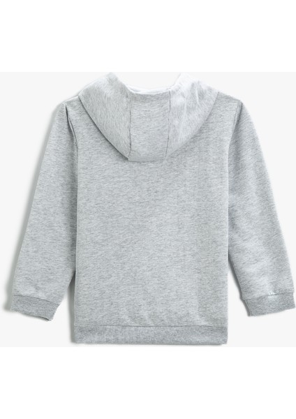 Baskılı Kapüşonlu Sweatshirt fiyatları