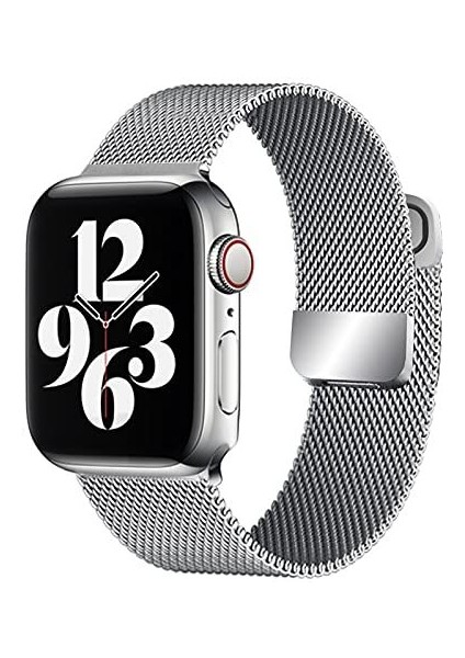 Apple Watch Manyetik Döngü 9/8/7/6/se/5/4/3/2/1 38MM 40MM 41MM Seri 10-42mm Paslanmaz Çelik Mıknatıslı Kordon