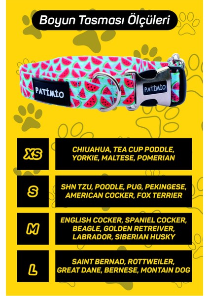 Gold Paws Köpek Boyun Tasması