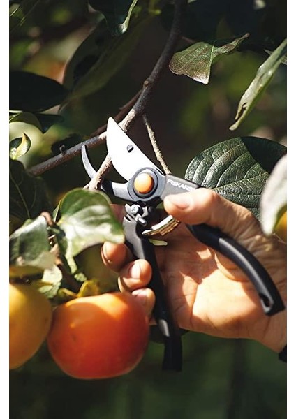 Profesyonel Bahçe Budama Makas 230 mm