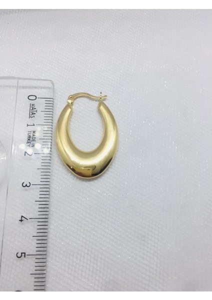 14 Ayar Altın Kadın Halka Küpe 3,44 gr fiyatları