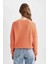 Coool Regular Fit Bisiklet Yaka Kazak L2567AZ22AU 5