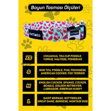 Patimio Kufu Köpek Boyun Tasması