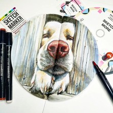 Poliart Süper Set 3ü1 Arada Yuvarlak Eskiz Defteri Set Marker ve Grafik Için Round Skethbook Set