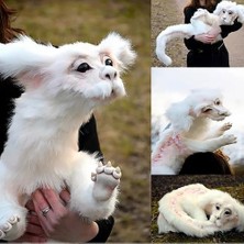 HaiTun 50 cm Pet Köpek Yatak Peluş Bebek Oyuncak Dekorasyon Fox Peluş Oyuncaklar Hediyeler Çocuklar Için Ev Dekor | Evler, Kennels kalemler