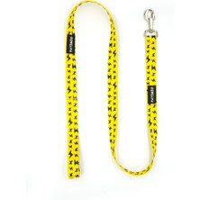 Yellow Boom Köpek Göğüs, Boyun ve Gezdirme Tasma Seti