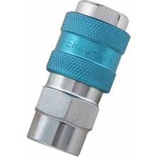 Fer-Ro PN25 Serisi T - 25 1/4” Bsp Dişi Gövde Pnömatik Otm. Rekor