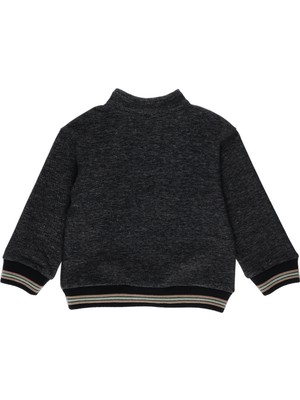 Panço Erkek Bebek Sweatshirt 2221BB08032