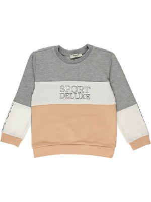 Panço Kız Bebek Sweatshirt 2221GB08067