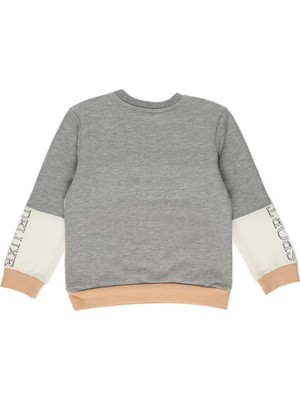 Panço Kız Bebek Sweatshirt 2221GB08067