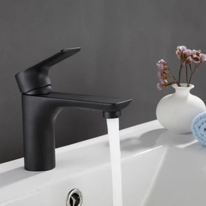 Black Diana Series Lavabo Bataryası Musluğu
